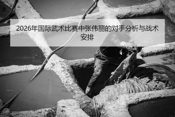 2026年国际武术比赛中张伟丽的对手分析与战术安排 - Panda Sports App