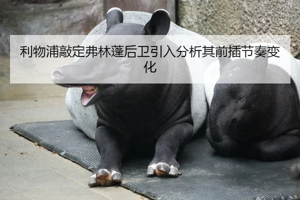 li-wu-pu-qiao-ding-fu-lin-peng-hou-wei-yin-ru-fen-xi-qi-qian-cha-jie-zou-bian-hua-2-174.jpg