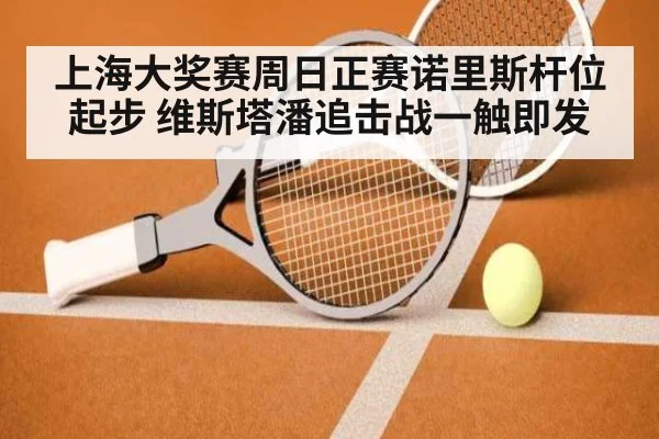 上海大奖赛周日正赛诺里斯杆位起步 维斯塔潘追击战一触即发